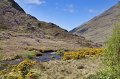 26. Mountain stream